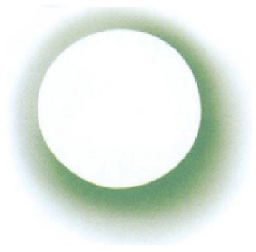 Ein weißer Kreis mit dunkelgrüner Corona ist das Logo der Berthold-Otto-Schule, Berlin. Es symbolisiert jenen Tisch, an dem Berthold Otto damals mit Groß und Klein gemeinsam lernte. 